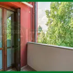 Rent 1 bedroom apartment of 35 m² in Gallarate