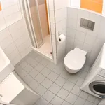 Rent 1 bedroom apartment in Brno