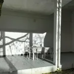 Rent 7 bedroom apartment in Lisbon