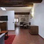 Rent 3 bedroom apartment of 100 m² in florence