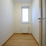 Rent 2 bedroom apartment in Kolín