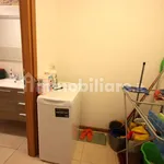 Rent 1 bedroom apartment of 45 m² in Verona