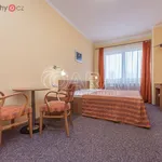 Rent 1 bedroom apartment of 25 m² in Praha