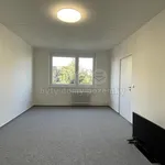 Rent 3 bedroom apartment of 75 m² in Olomouc