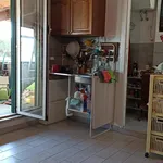 Rent 1 bedroom apartment of 25 m² in Roma