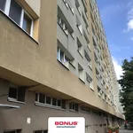 Rent 1 bedroom apartment of 30 m² in Poznan