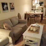 Rent 1 bedroom apartment of 45 m² in Dusseldorf