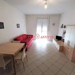 Rent 2 bedroom apartment of 50 m² in Pavia