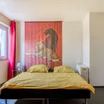 Miete 1 Schlafzimmer wohnung von 21 m² in Mainz