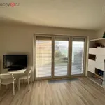 Pronajměte si 1 ložnic/e byt o rozloze 32 m² v Trhový Štěpánov