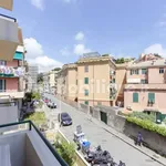 Rent 2 bedroom apartment of 45 m² in Genoa