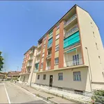 Rent 2 bedroom apartment of 55 m² in Asti