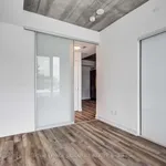 Rent 1 bedroom apartment in Toronto (South Riverdale)