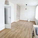 Rent 1 bedroom apartment in Praha 3