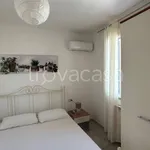 Rent 3 bedroom apartment of 93 m² in Grosseto