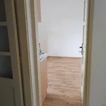 Rent 1 bedroom apartment in Nymburk