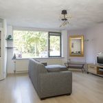 Rent 2 bedroom apartment of 65 m² in breda