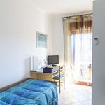 Rent a room in Roma