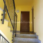 Rent 2 bedroom apartment of 55 m² in Parma