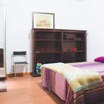 Rent 4 bedroom apartment in Madrid