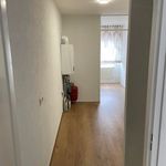 Rent 4 bedroom house of 95 m² in Ekenrooi