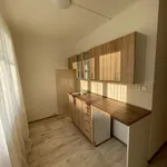 Rent 1 bedroom apartment in Sokolov