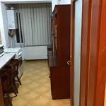 Rent 2 bedroom apartment of 50 m² in Timișoara