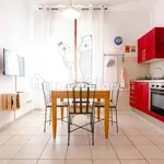 Rent 2 bedroom apartment of 50 m² in Bologna