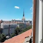 Rent 1 bedroom apartment of 30 m² in Turin