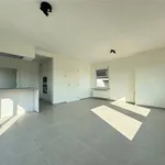 Rent 2 bedroom apartment in WETTEREN