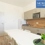 Pronájem bytu 2+1 57m²