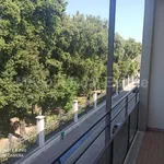 Rent 4 bedroom apartment of 150 m² in Caserta