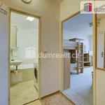 Rent 2 bedroom apartment in Mělník