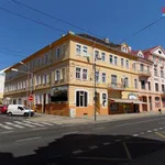 Rent 1 bedroom apartment of 30 m² in Teplice