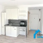 Rent 1 bedroom apartment in Děčín