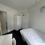 Rent 3 bedroom apartment in Auckland