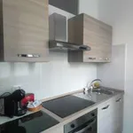 Rent 1 bedroom house of 42 m² in Milan