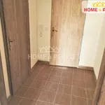 Rent 1 bedroom apartment of 26 m² in Chodov