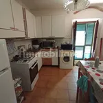 Rent 3 bedroom house of 55 m² in Pisa