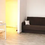 Rent 1 bedroom apartment of 29 m² in *Słoneczna kawalerka *Rataje *Od września