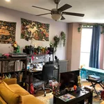 Rent 1 bedroom apartment in NY