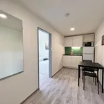 Rent 1 bedroom apartment in Brno