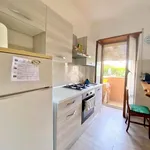 Rent 2 bedroom apartment of 65 m² in Roma