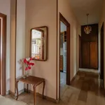 Rent 2 bedroom apartment of 100 m² in turin