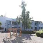 Rent 2 bedroom house of 61 m² in Hakuninmaa,