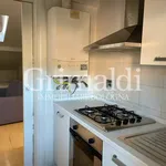 Rent 1 bedroom apartment of 42 m² in Bologna