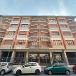 Rent 3 bedroom apartment of 81 m² in Turin