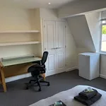 Rent 1 bedroom apartment in Norwich