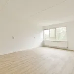 Huur 4 slaapkamer appartement van 84 m² in amsterdam