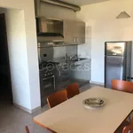 Rent 3 bedroom apartment of 60 m² in Giulianova